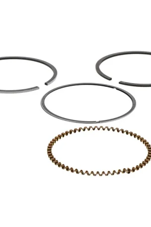 Troy-Bilt 951-12615 Piston Ring Kit Trending