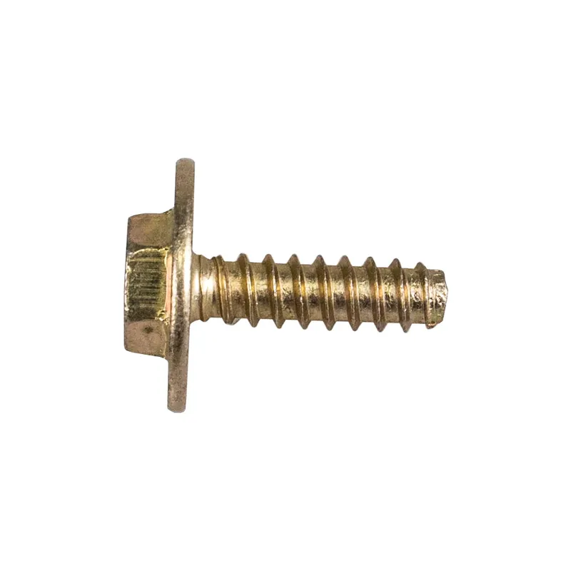 Troy-Bilt 710-04669 Screw Fast Shipping