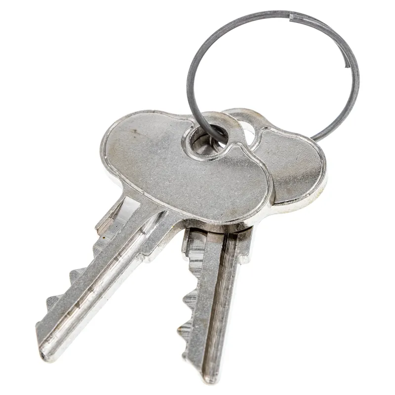 CUB CADET 925-06956 Blank Ignition Key Set of 2 Express Delivery