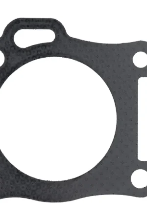 Authentic MTD 951-11898 Cylinder Head Gasket