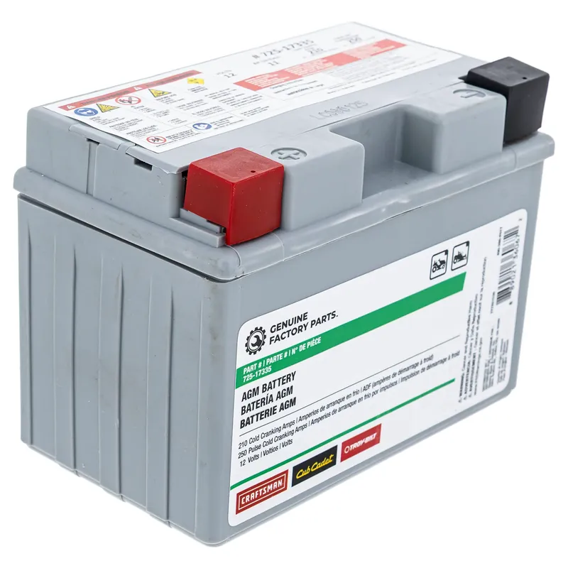 Must Have MTD 490-280-F017 12-Volt AGM Battery 210 CCA