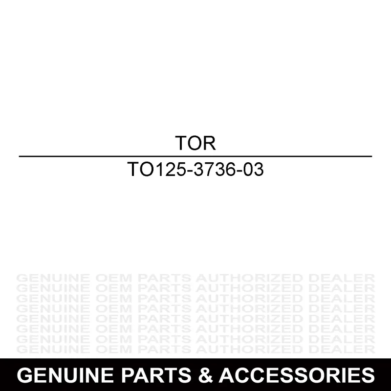Final Sale Toro 125-3736-03 Pump Support Plate