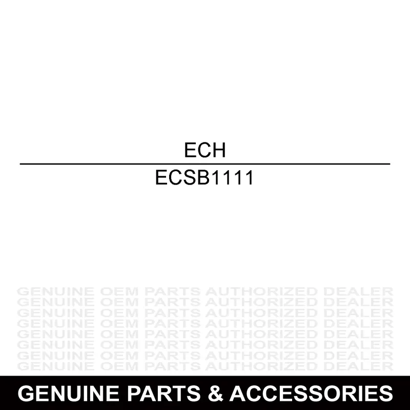 Echo SB1111 SHORT BLOCK PB-500 & EB508RT Special Offer