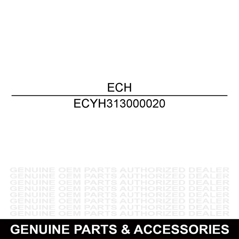Echo YH313000020 MOTOR Next Day Delivery