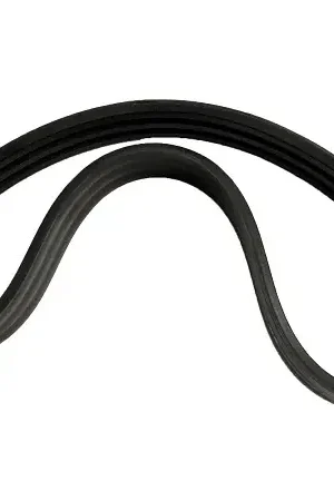Express Delivery (784825) BELT BANDED 3/B54