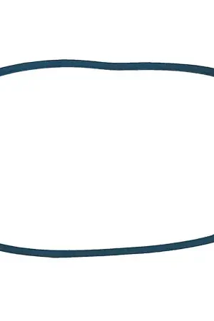 (359328) BELT, 4L50 (MS) Instant Buy