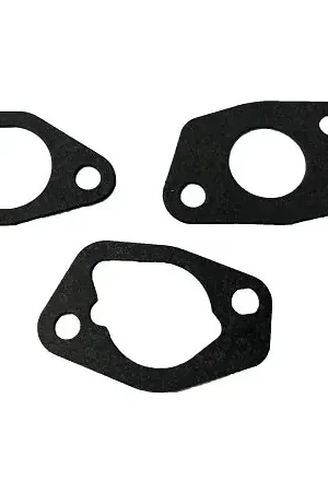 (17 041 03-s) KIT: INTAKE GASKET Buy Online