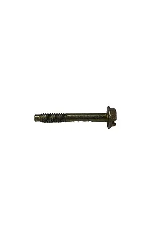 (690670) SCREW Express Delivery