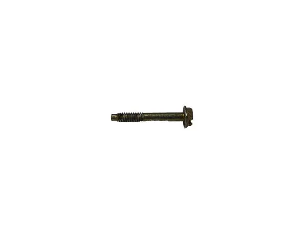 (690670) SCREW Express Delivery