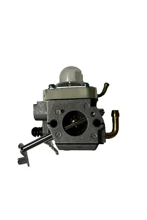 (16100-Z4E-S46) Honda Carburetor Time-Limited